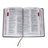 Bible: Divine Mercy Catholic Bible