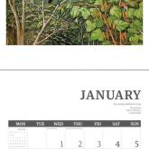 Calendar: 2025 Clare Reilly, Birds