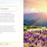 The Words of Jesus - Deluxe Daily Prayer Book