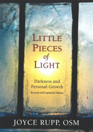 Little Pieces of Light: Darkness and Personal Growth