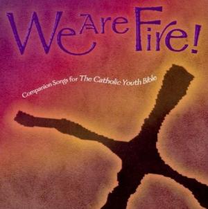 We Are Fire CD