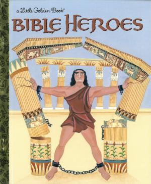 A Little Golden Book: Bible Heroes