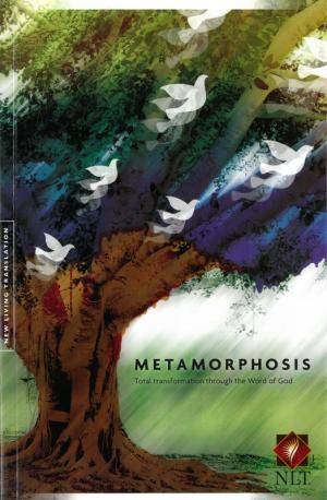 Metamorphosis