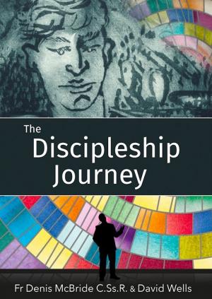 The Discipleship Journey DVD