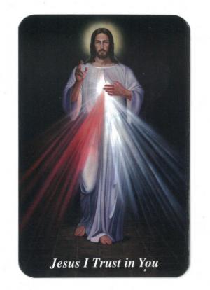 Laminated Prayer Card: Divine Mercy