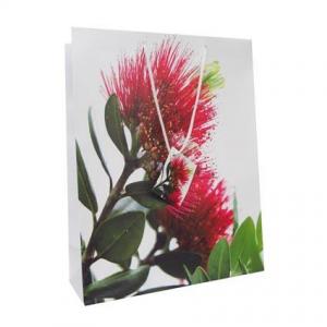 Gift Bag: Pohutukawa Tree