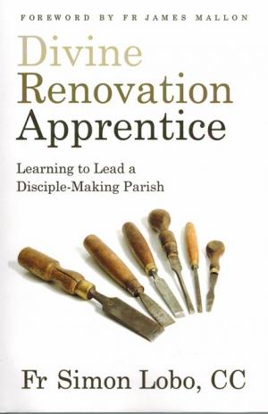 Divine Renovation Apprentice