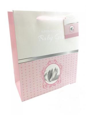 Gift Bag: Baby Girl