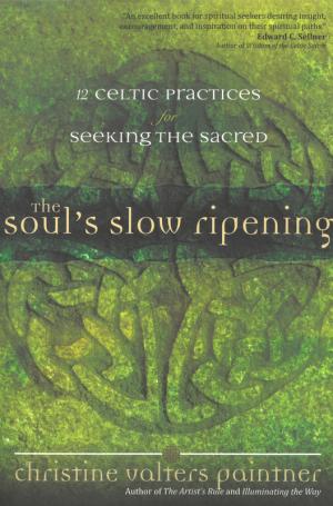 The Soul's Slow Ripening: 12 Celtic Practices .....