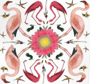 Card: Blank - Greater Flamingo