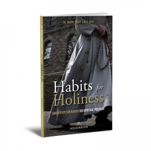 Habits for Holiness: Small Steps for Making Big Spiritual...