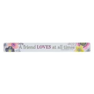 Magnetic Strip: A Friend Loves At All Times