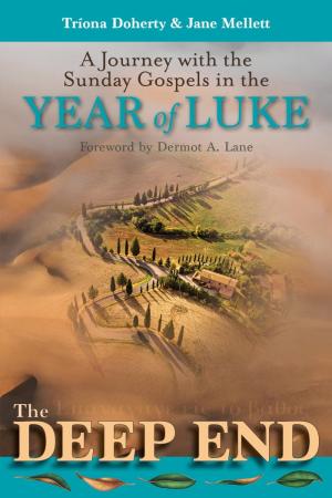 Journey with the Sunday Gospels..Year of Luke, The Deep End