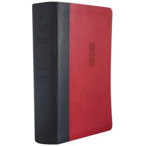 Bible: Maori/English NRSV Diglot Imitation Red Leather