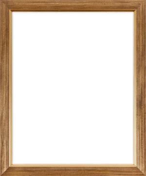 Picture Frame: Rimu Stain and Gold A4