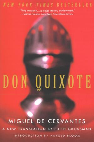 Don Quixote