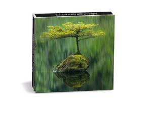 Notecards: Blank - Fairy Lake 8 pack