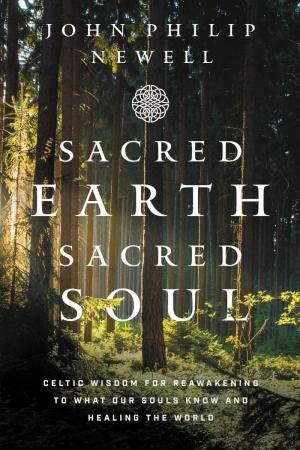 Sacred Earth, Sacred Soul: Celtic Wisdom for Reawakening...