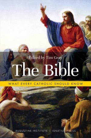 What Every Catholic Should Know: The Bible