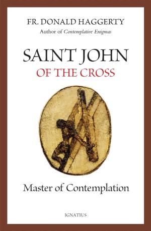 Saint John of the Cross: Master of Contemplation