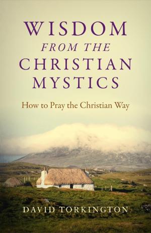 Wisdom from the Christian Mystics: How to Pray...