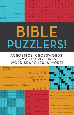 Bible Puzzlers!