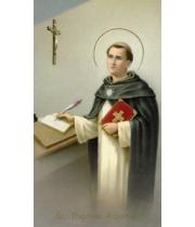 Holy Card: St Thomas Aquinas (HC400190)