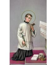 Holy Card: St Aloysius (HC400196)