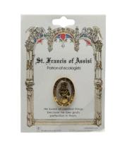 Pin: Patron St Francis Of Assisi (TS08)