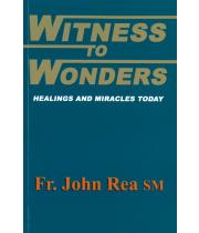 Witness To Wonders (9780473163969)