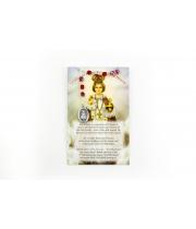 Chaplet: IO Prague /ENG/SPA Prayer & Image (92C)