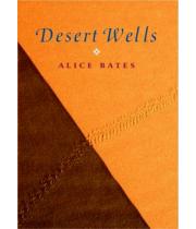 Desert Wells (9780232527902)