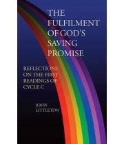 The Fulfilment of God's Saving Promise:Readings Yr C (9781856078801)