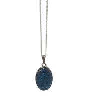 Necklace: Miraculous Blue Medal (ME72007CH)