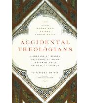 Accidental Theologians (9781616365141)