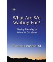 What are we waiting for? Finding meaning in Advent (9780809149063)