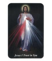 Laminated Prayer Card: Divine Mercy (PCDMITC)