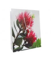 Gift Bag: Pohutukawa Tree (GBS2302)