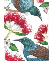 Glass Lens & Screen Cloth: Pohutukawa and Tui (NZTWLC10)