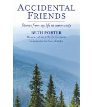 Accidental Friends: Stories from My Life in Community (9780232533873)