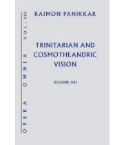 Trinitarian and Cosmotheandric Vision (9781626983502)