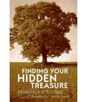 Finding Your Hidden Treasure (9780232528077)