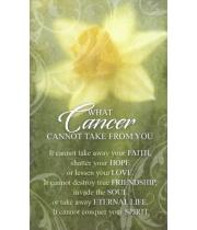 Magnet: What Cancer Cannot Take From You (780308014274)