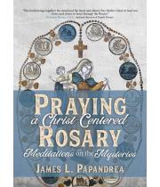 Praying a Christ-Centred Rosary (9781594719578)
