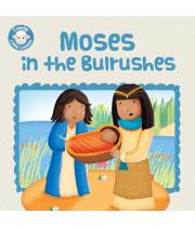 Moses in the Bulrushes (9781781281635)