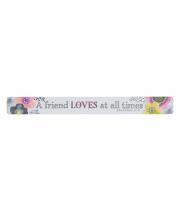 Magnetic Strip: A Friend Loves At All Times (MS132)