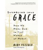 Stumbling into Grace: How We Meet God in Tiny Works of Mercy (9781646800636)