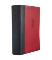 Bible: Maori/English NRSV Diglot Imitation Red Leather (9781991152879)