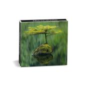 Notecards: Blank - Fairy Lake 8 pack (MGERJ022)