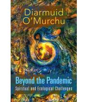 Beyond the Pandemic: Spiritual and Ecological Challenges (9781626984950)